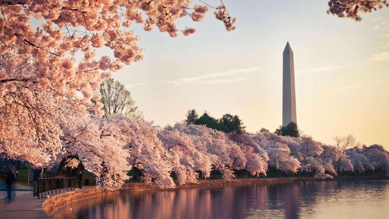 Hotel Grand Hyatt Washington Extérieur photo